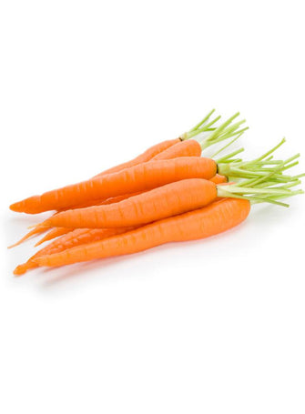 Carrot